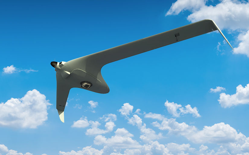 WASP on BirdEye 650D tactical UAV.jpg