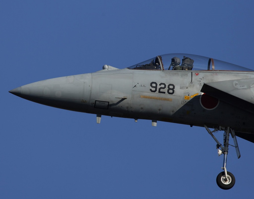 F-15J-ASDF-FLIR-4.jpg