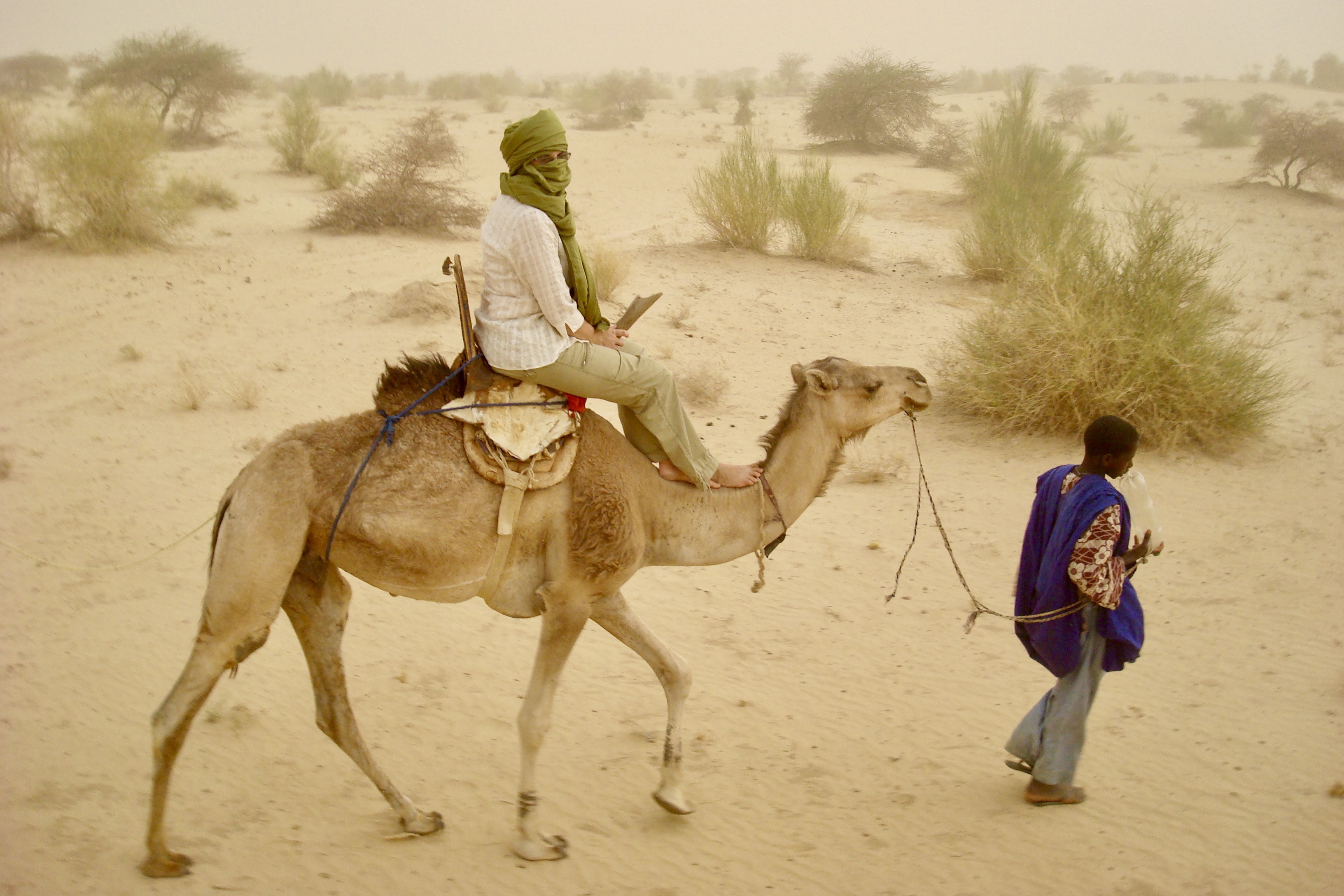 A_camel_ride_in_the_Sahara_Desert.jpg