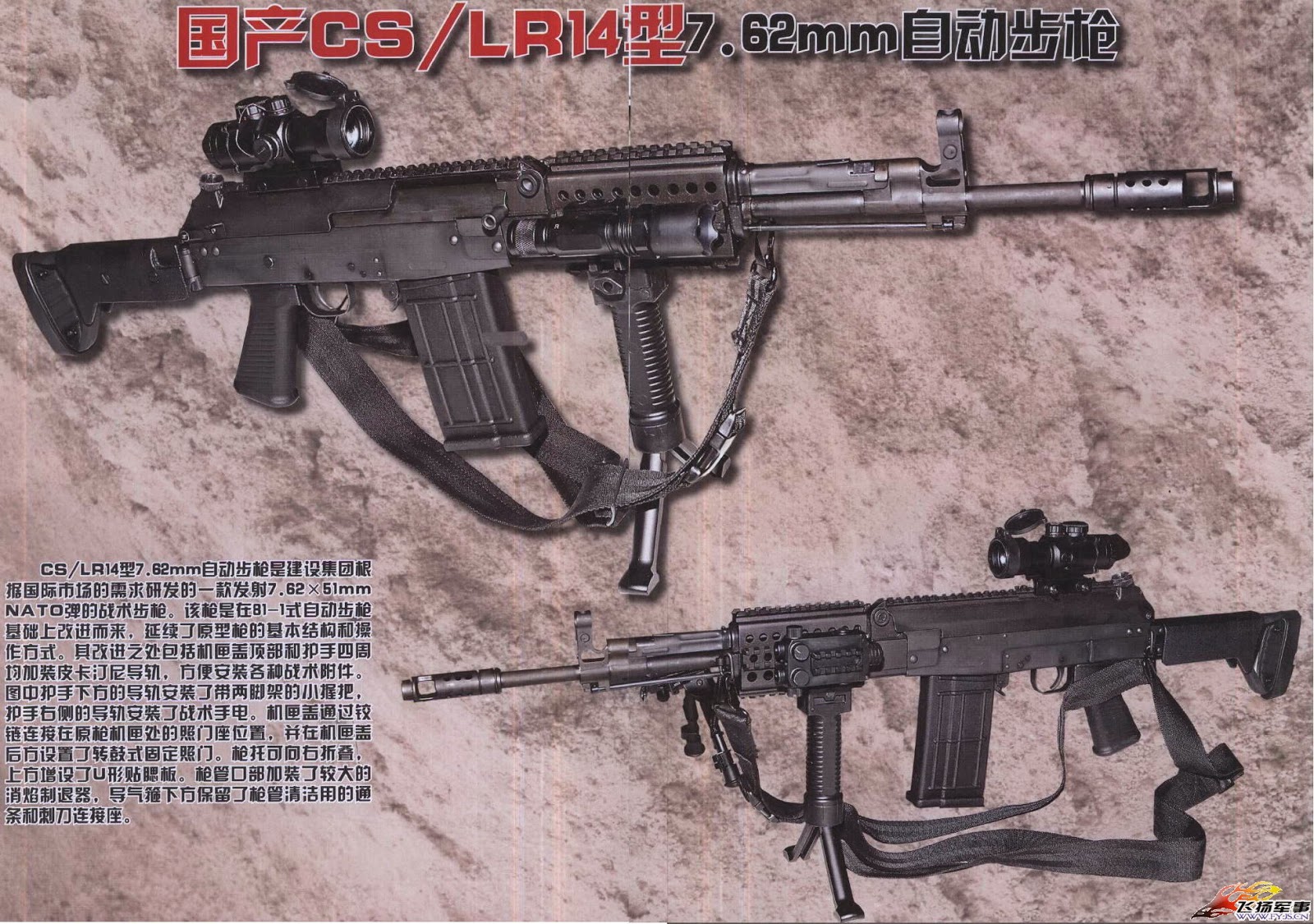 Chinese NAR-10  CSLR14 Assault Rifle (1).jpg