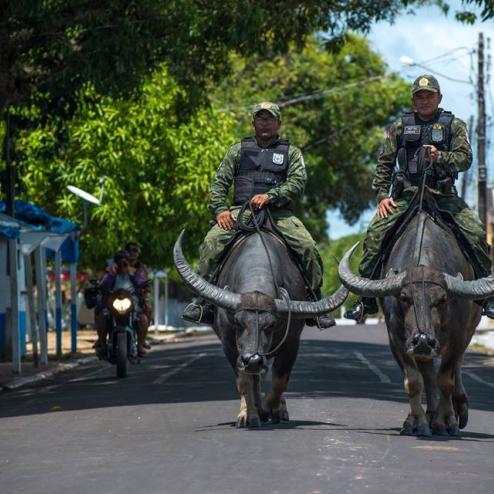 브라질 경찰의 이동,추적 수단 '소'나타
