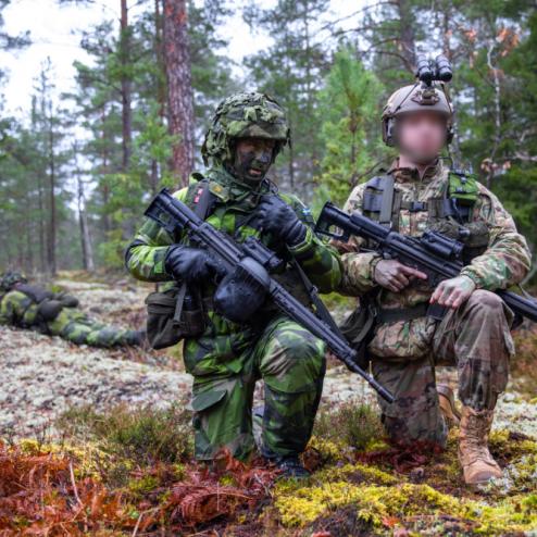 스웨덴 예비군과 훈련하는 그린베레