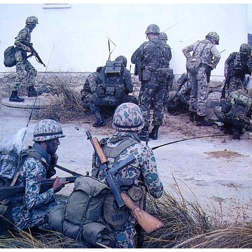 톰슨 기관단총을 쓰는 터키 군(1974년 키프로스 침공)