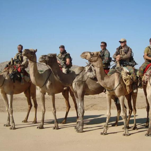 사막에서 낙타를 타고 다니는 유럽권 특수부대들
