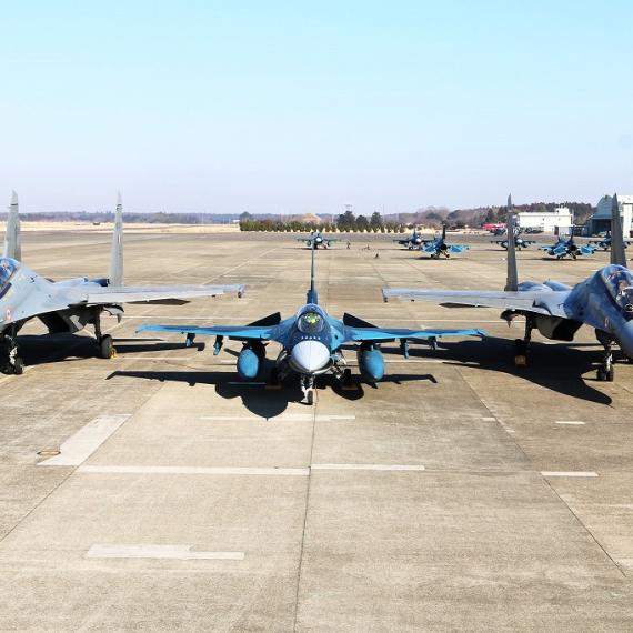 인도 공군 Su-30MKI와 일본 항공자위대 F-2A 간 단체사진