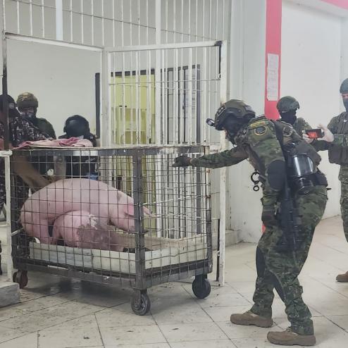 교도소에서 '돼지' 를 압류 한 에콰도르 군,경