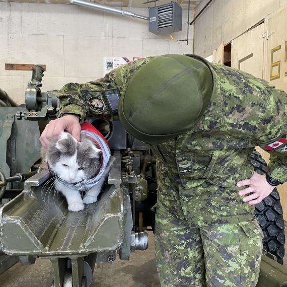 눈사태 방지 작전 중인 캐나다 군 포병 부대를 방문한 셀럽 고양이