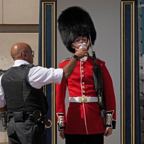 왕실 근위병에게 물을 주는 영국 경찰