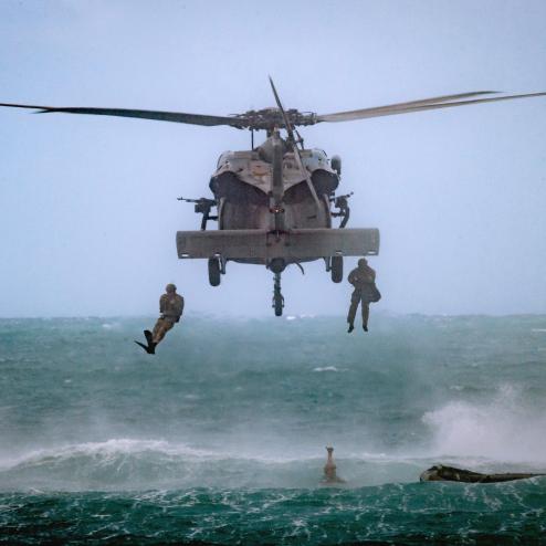 연합 Helocast 훈련을 하는 UDT SEAL&그린베레